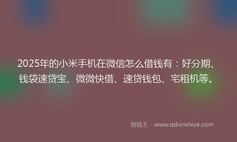 2025年的小米手机在微信怎么借钱有：好分期、钱袋速贷宝、微微快借、速贷钱包、宅租机等。