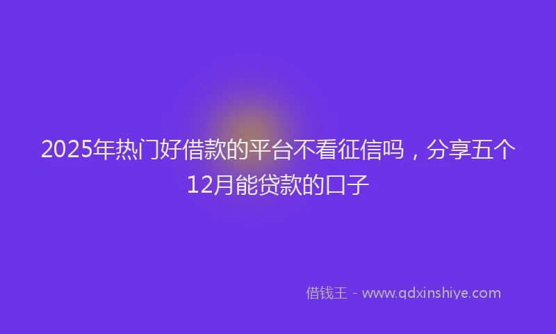 2025年热门好借款的平台不看征信吗，分享五个12月能贷款的口子