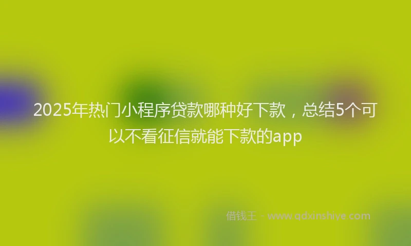 2025年热门小程序贷款哪种好下款，总结5个可以不看征信就能下款的app