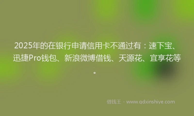 2025年的在银行申请信用卡不通过有：速下宝、迅捷Pro钱包、新浪微博借钱、天源花、宜享花等。