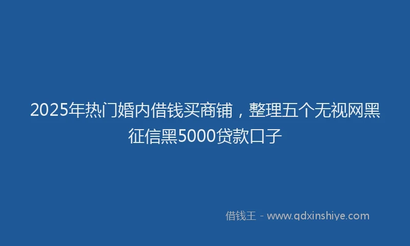 2025年热门婚内借钱买商铺，整理五个无视网黑征信黑5000贷款口子