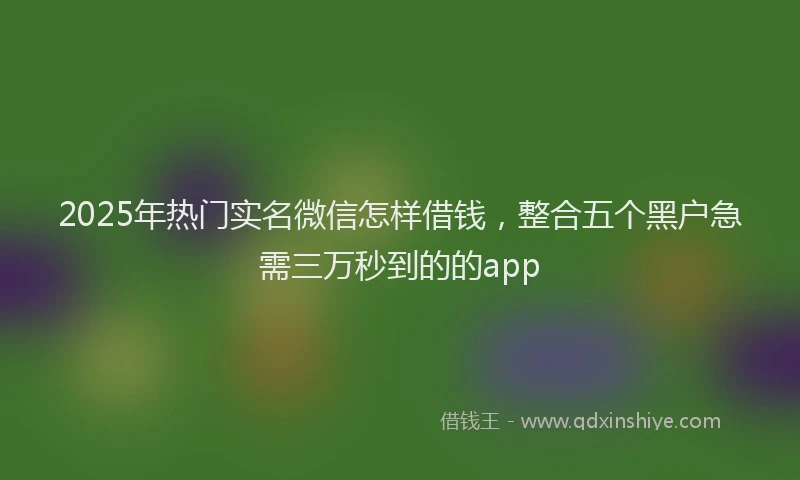 2025年热门实名微信怎样借钱，整合五个黑户急需三万秒到的的app