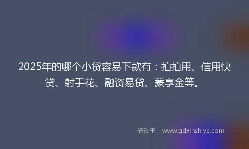 2025年的哪个小贷容易下款有：拍拍用、信用快贷、射手花、融资易贷、蒙享金等。