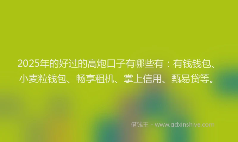 2025年的好过的高炮口子有哪些有：有钱钱包、小麦粒钱包、畅享租机、掌上信用、甄易贷等。
