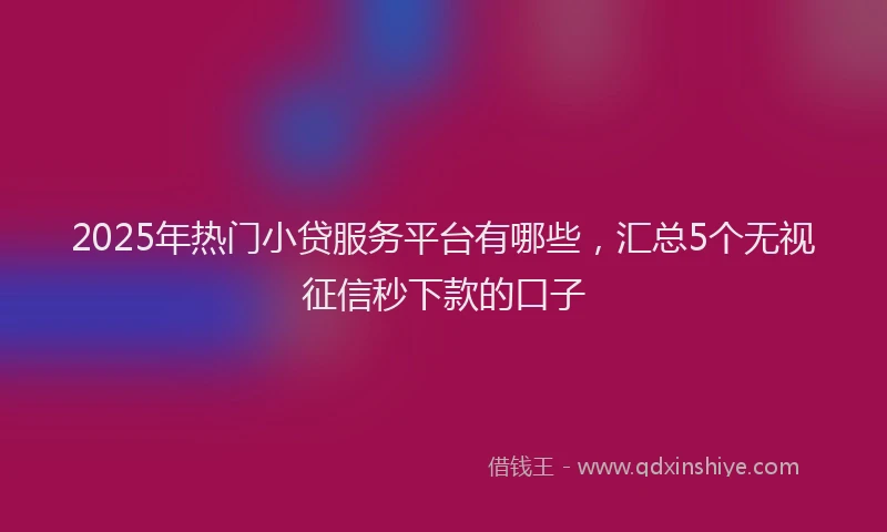 2025年热门小贷服务平台有哪些，汇总5个无视征信秒下款的口子