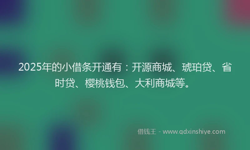 2025年的小借条开通有:开源商城、琥珀贷、省时贷、樱桃钱包、大利商城等。