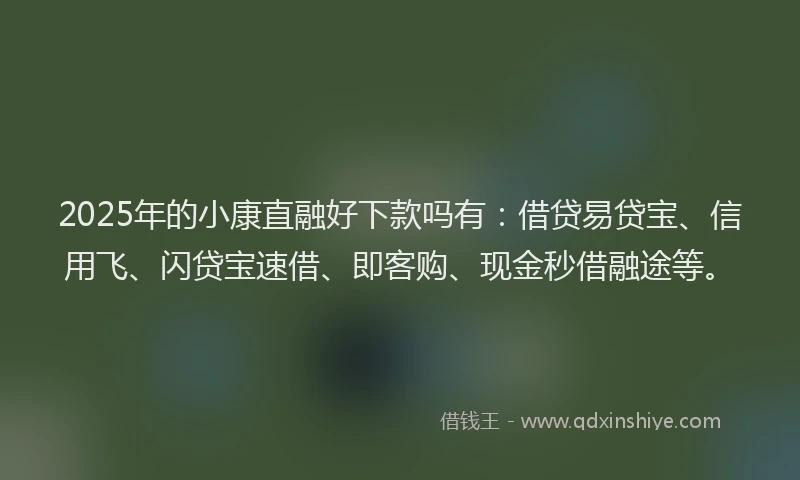 2025年的小康直融好下款吗有:借贷易贷宝、信用飞、闪贷宝速借、即客购、现金秒借融途等。