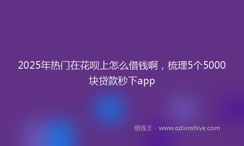 2025年热门在花呗上怎么借钱啊，梳理5个5000块贷款秒下app