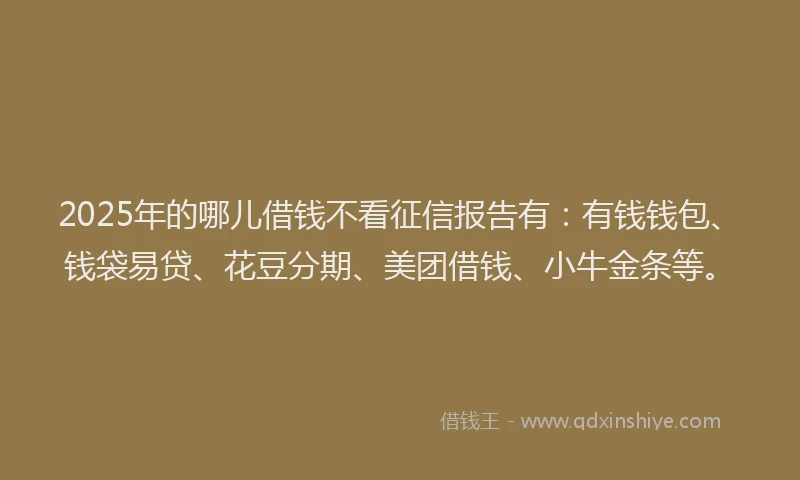 2025年的哪儿借钱不看征信报告有：有钱钱包、钱袋易贷、花豆分期、美团借钱、小牛金条等。