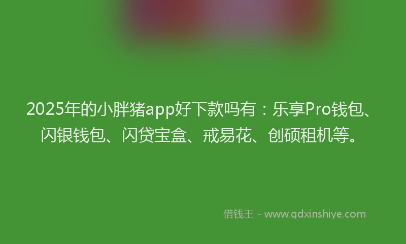 2025年的小胖猪app好下款吗有：乐享Pro钱包、闪银钱包、闪贷宝盒、戒易花、创硕租机等。
