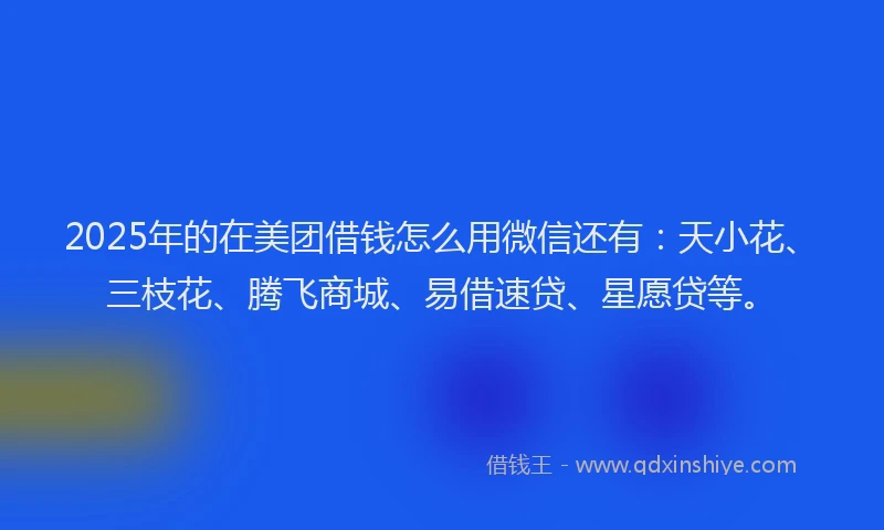 2025年的在美团借钱怎么用微信还有：天小花、三枝花、腾飞商城、易借速贷、星愿贷等。