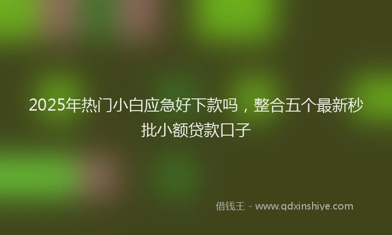2025年热门小白应急好下款吗，整合五个最新秒批小额贷款口子