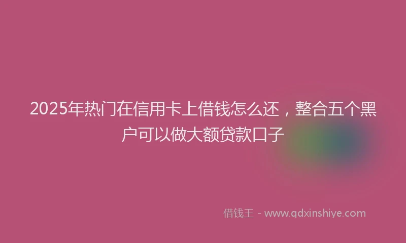 2025年热门在信用卡上借钱怎么还，整合五个黑户可以做大额贷款口子