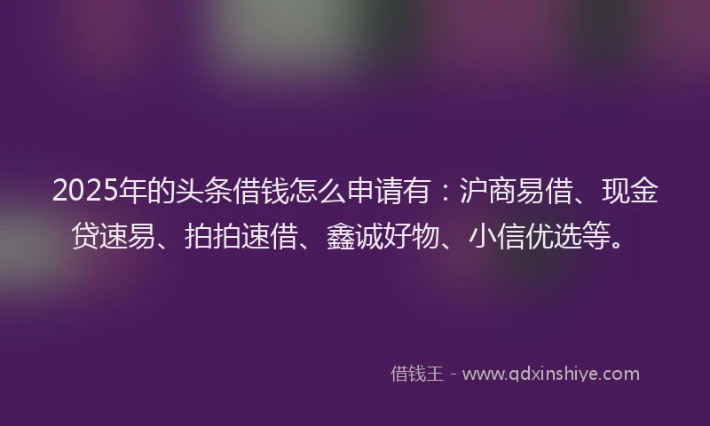 2025年的头条借钱怎么申请有：沪商易借、现金贷速易、拍拍速借、鑫诚好物、小信优选等。
