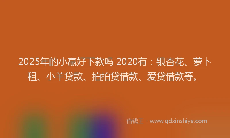 2025年的小赢好下款吗 2020有：银杏花、萝卜租、小羊贷款、拍拍贷借款、爱贷借款等。