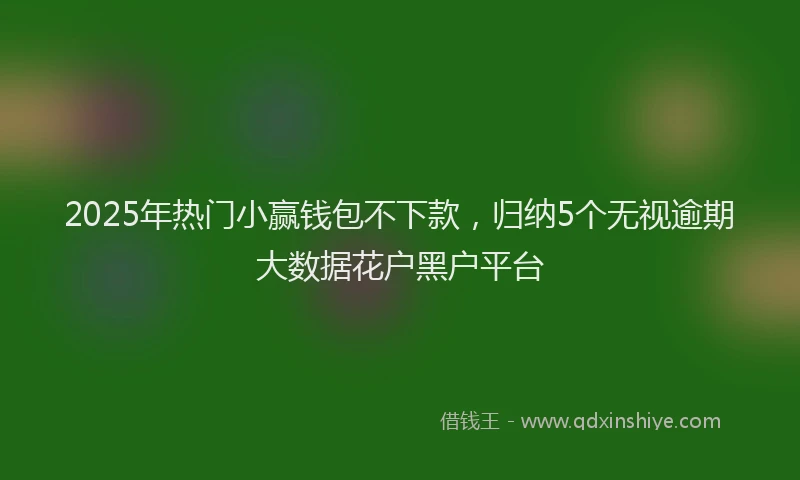 2025年热门小赢钱包不下款，归纳5个无视逾期大数据花户黑户平台