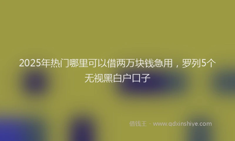 2025年热门哪里可以借两万块钱急用，罗列5个无视黑白户口子