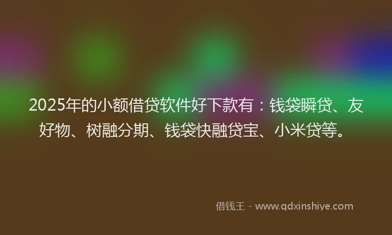 2025年的小额借贷软件好下款有：钱袋瞬贷、友好物、树融分期、钱袋快融贷宝、小米贷等。