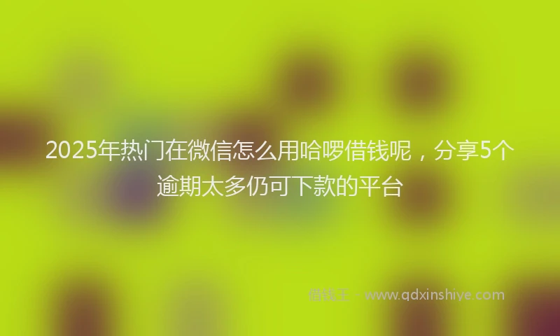 2025年热门在微信怎么用哈啰借钱呢，分享5个逾期太多仍可下款的平台
