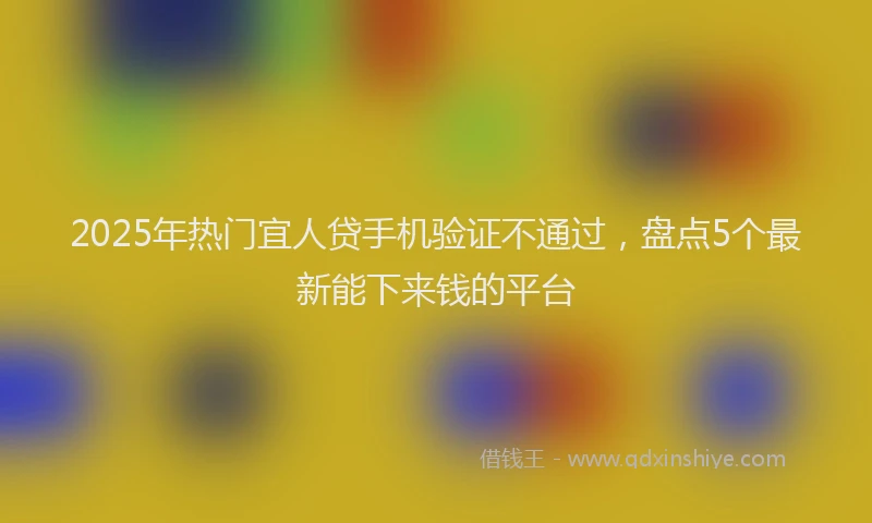2025年热门宜人贷手机验证不通过，盘点5个最新能下来钱的平台