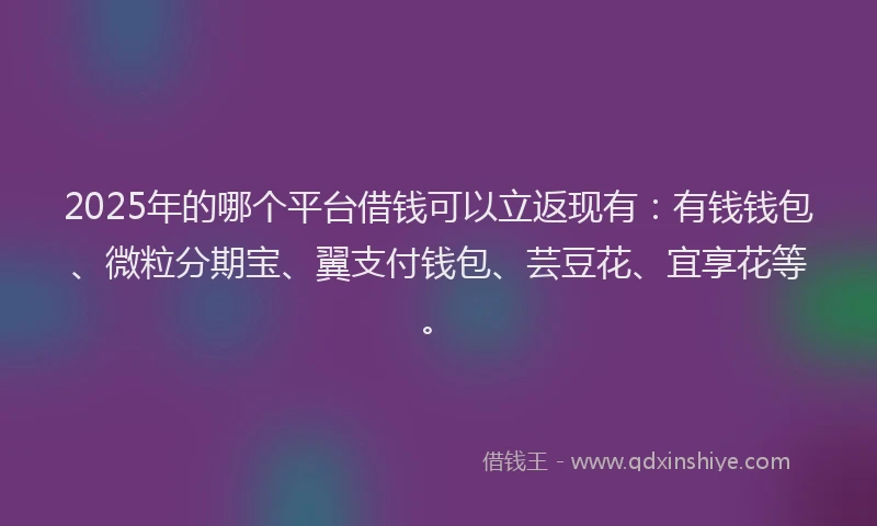 2025年的哪个平台借钱可以立返现有：有钱钱包、微粒分期宝、翼支付钱包、芸豆花、宜享花等。