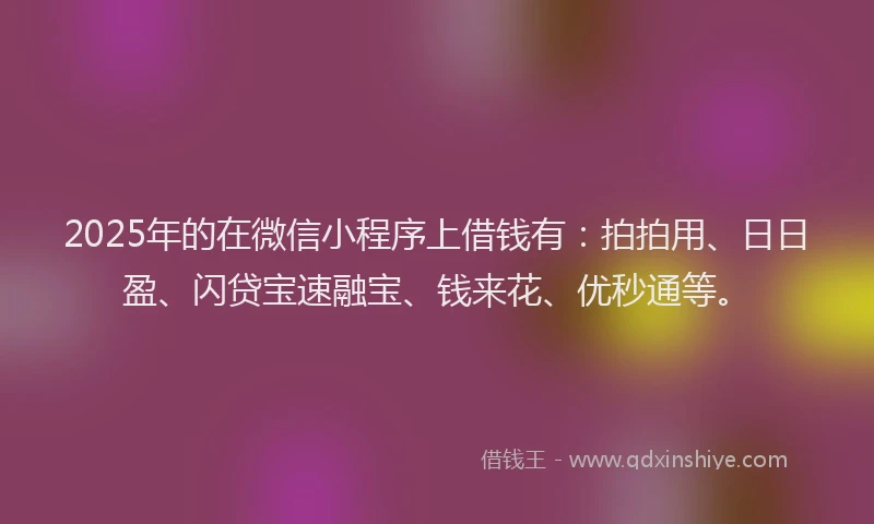 2025年的在微信小程序上借钱有：拍拍用、日日盈、闪贷宝速融宝、钱来花、优秒通等。