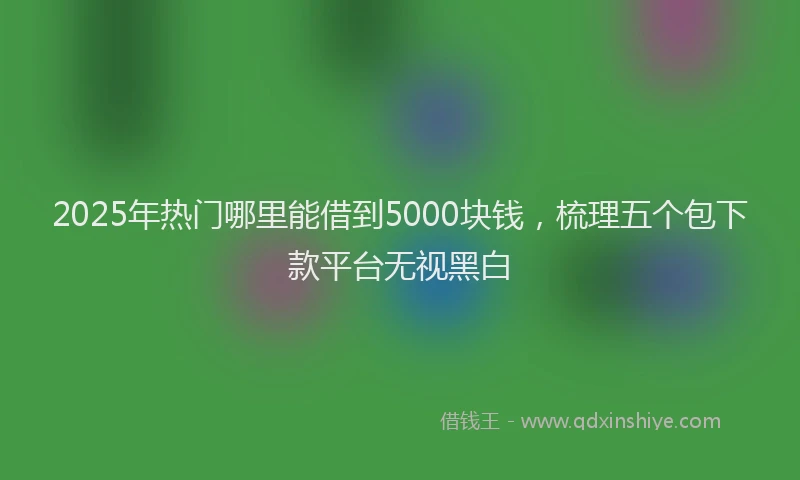 2025年热门哪里能借到5000块钱，梳理五个包下款平台无视黑白