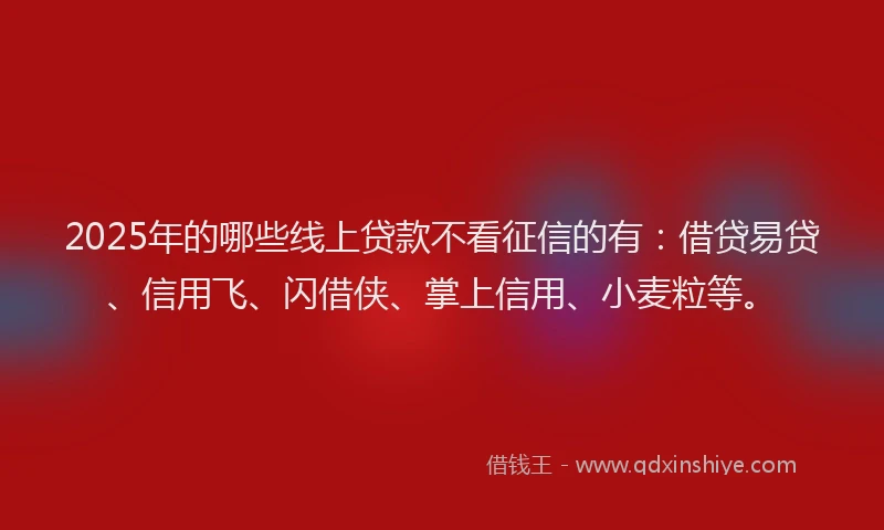 2025年的哪些线上贷款不看征信的有：借贷易贷、信用飞、闪借侠、掌上信用、小麦粒等。
