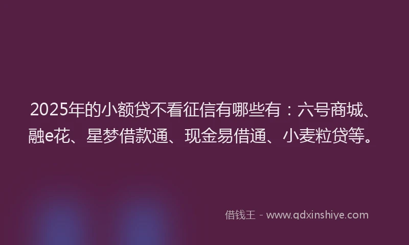 2025年的小额贷不看征信有哪些有：六号商城、融e花、星梦借款通、现金易借通、小麦粒贷等。