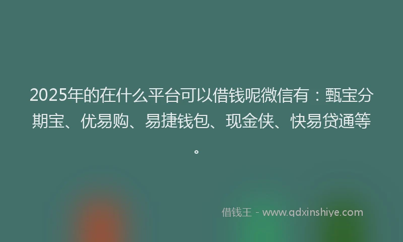 2025年的在什么平台可以借钱呢微信有：甄宝分期宝、优易购、易捷钱包、现金侠、快易贷通等。
