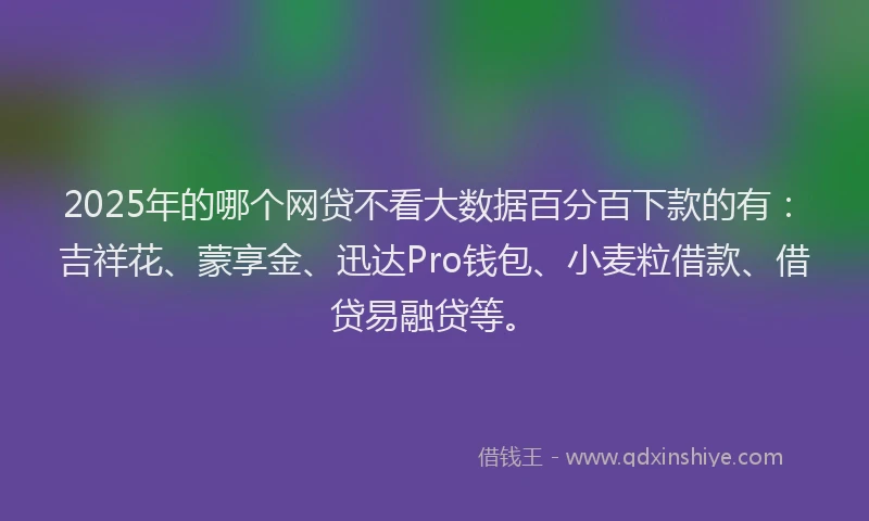 2025年的哪个网贷不看大数据百分百下款的有：吉祥花、蒙享金、迅达Pro钱包、小麦粒借款、借贷易融贷等。