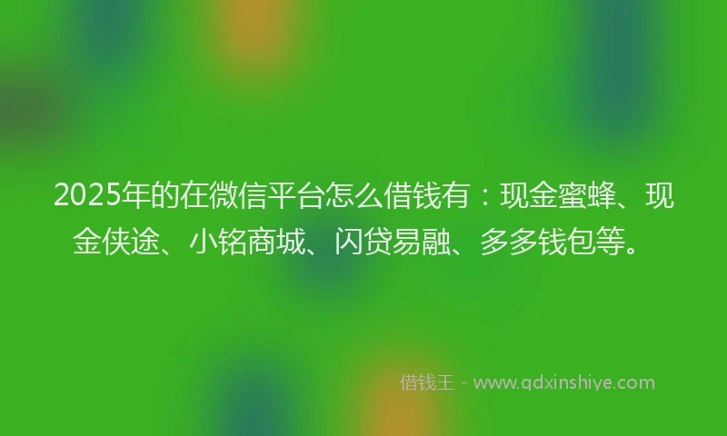 2025年的在微信平台怎么借钱有：现金蜜蜂、现金侠途、小铭商城、闪贷易融、多多钱包等。