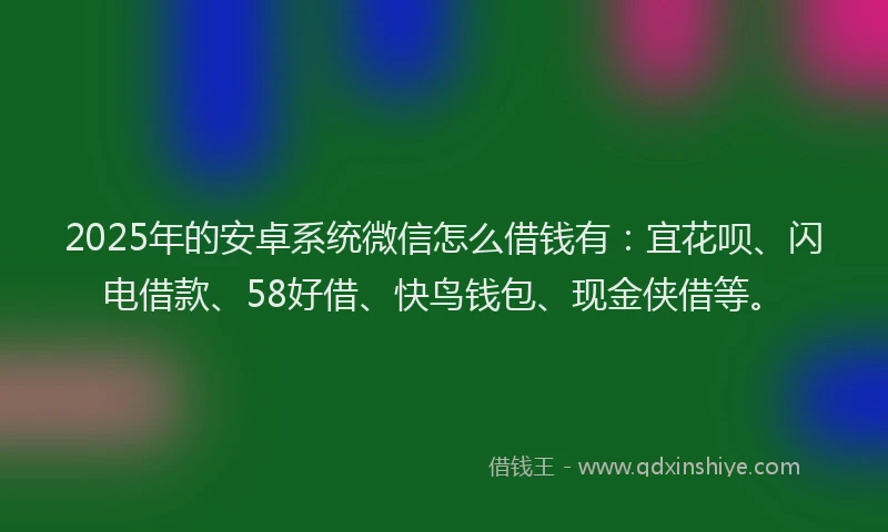 2025年的安卓系统微信怎么借钱有：宜花呗、闪电借款、58好借、快鸟钱包、现金侠借等。