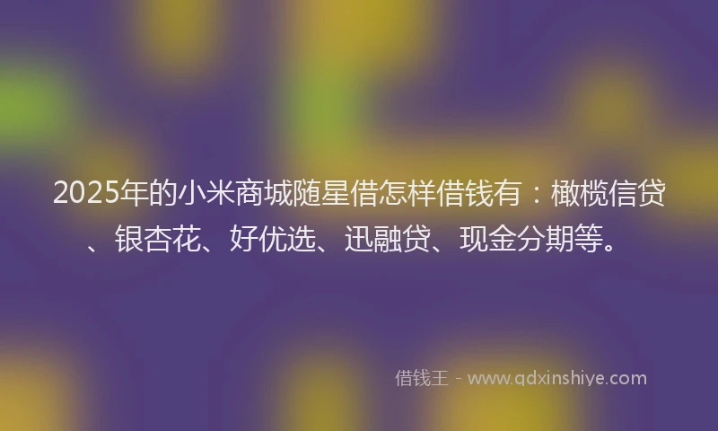 2025年的小米商城随星借怎样借钱有:橄榄信贷、银杏花、好优选、迅融贷、现金分期等。