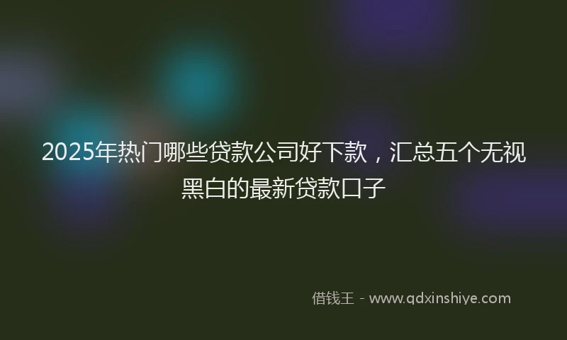 2025年热门哪些贷款公司好下款，汇总五个无视黑白的最新贷款口子