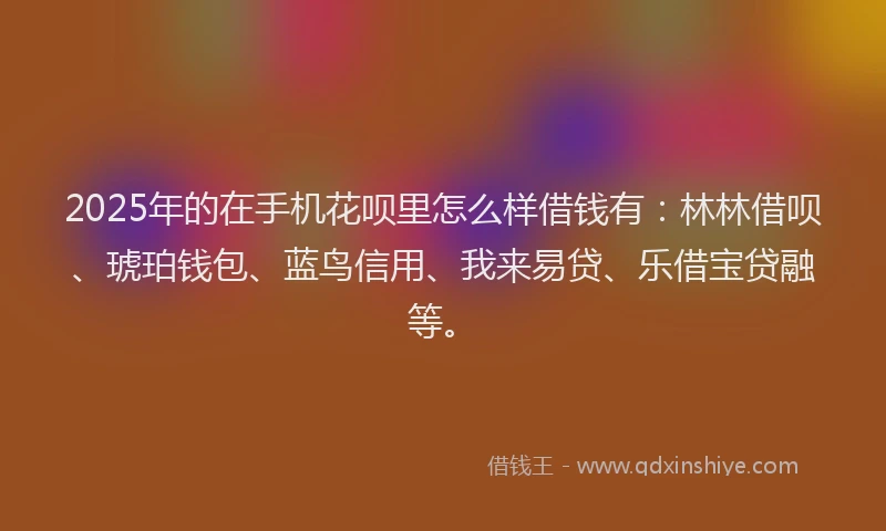2025年的在手机花呗里怎么样借钱有：林林借呗、琥珀钱包、蓝鸟信用、我来易贷、乐借宝贷融等。