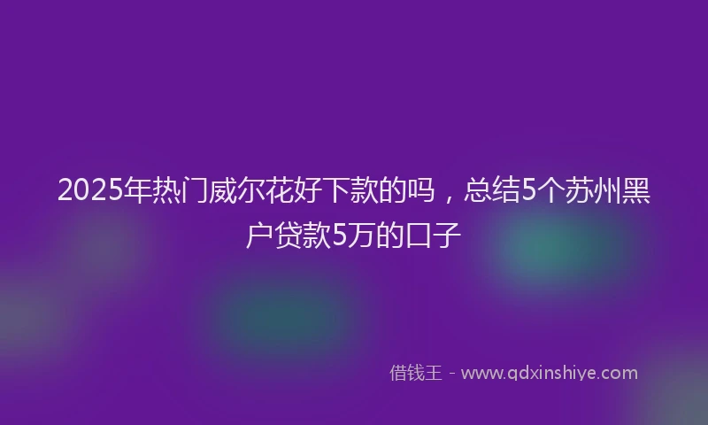 2025年热门威尔花好下款的吗，总结5个苏州黑户贷款5万的口子