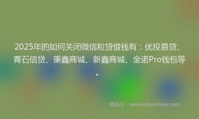 2025年的如何关闭微信粒贷借钱有：优投易贷、青石信贷、秉鑫商城、新鑫商城、金诺Pro钱包等。