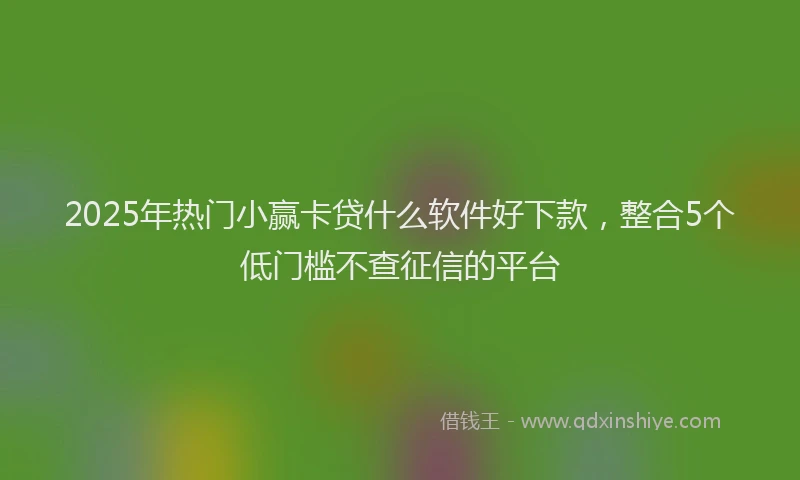 2025年热门小赢卡贷什么软件好下款，整合5个低门槛不查征信的平台