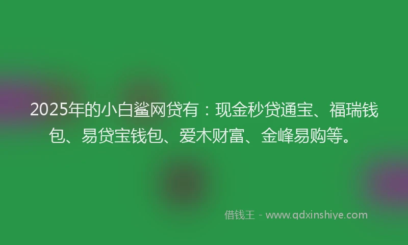 2025年的小白鲨网贷有：现金秒贷通宝、福瑞钱包、易贷宝钱包、爱木财富、金峰易购等。