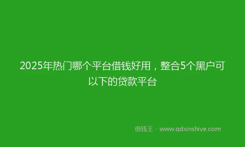 2025年热门哪个平台借钱好用，整合5个黑户可以下的贷款平台