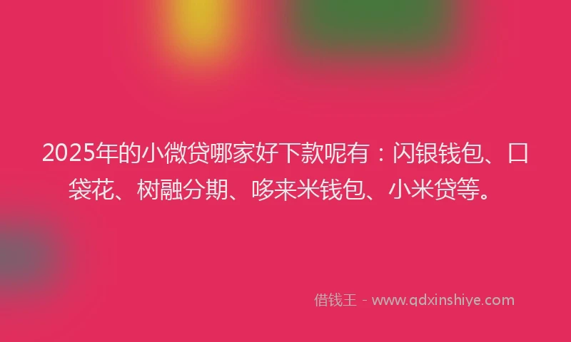 2025年的小微贷哪家好下款呢有：闪银钱包、口袋花、树融分期、哆来米钱包、小米贷等。