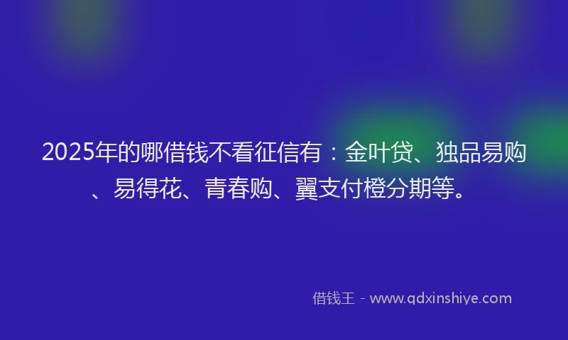 2025年的哪借钱不看征信有：金叶贷、独品易购、易得花、青春购、翼支付橙分期等。