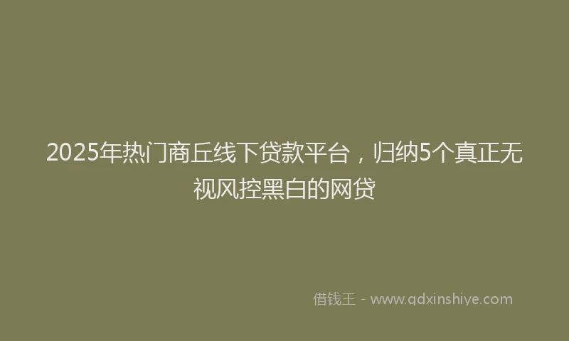 2025年热门商丘线下贷款平台，归纳5个真正无视风控黑白的网贷