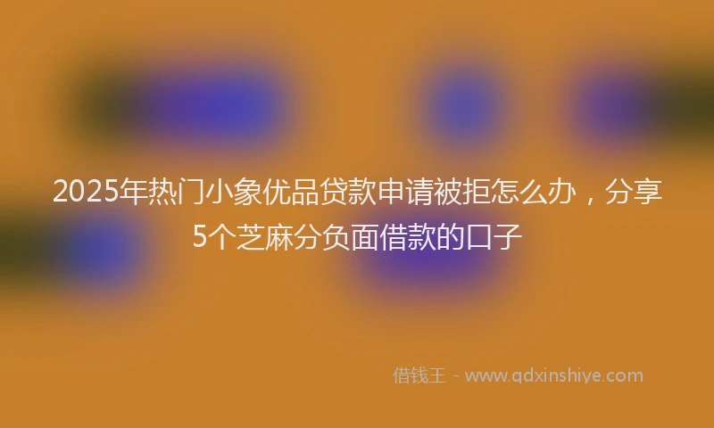 2025年热门小象优品贷款申请被拒怎么办，分享5个芝麻分负面借款的口子
