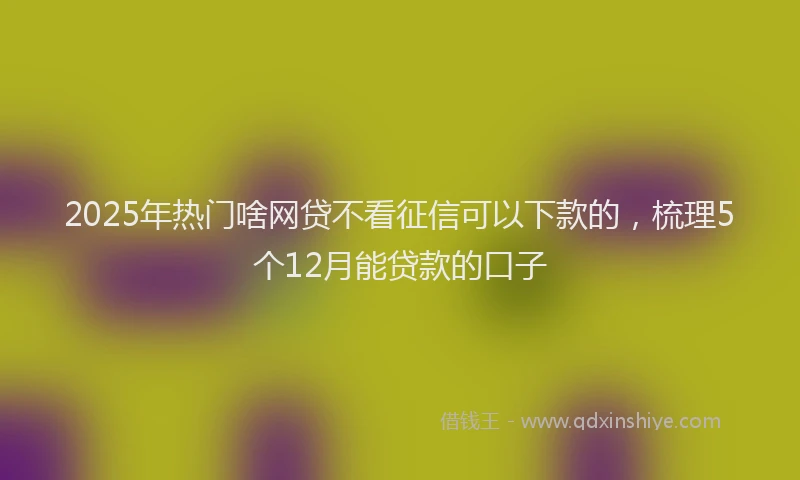 2025年热门啥网贷不看征信可以下款的，梳理5个12月能贷款的口子