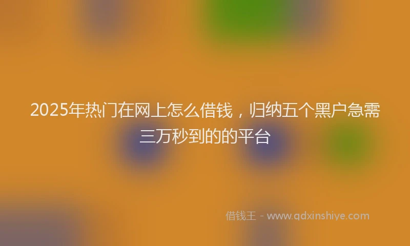 2025年热门在网上怎么借钱，归纳五个黑户急需三万秒到的的平台