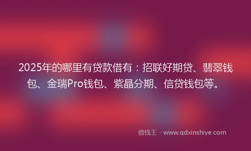 2025年的哪里有贷款借有：招联好期贷、翡翠钱包、金瑞Pro钱包、紫晶分期、信贷钱包等。