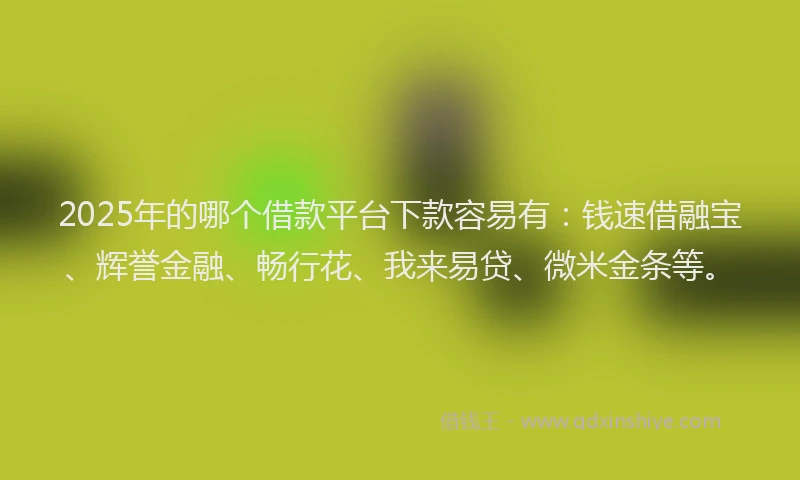 2025年的哪个借款平台下款容易有：钱速借融宝、辉誉金融、畅行花、我来易贷、微米金条等。