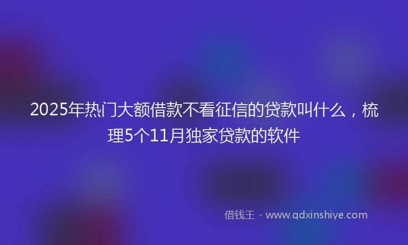 2025年热门大额借款不看征信的贷款叫什么，梳理5个11月独家贷款的软件